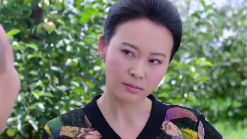 双喜盈门演员，星光熠熠下的演技璀璨展现