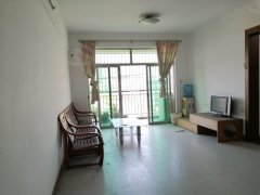 顺德北滘最新二手房市场深度解析，全面观点分析