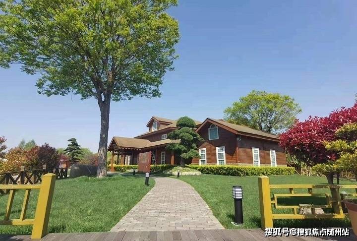 变化中的学习之旅，中泽纯境最新消息与自信成就之源