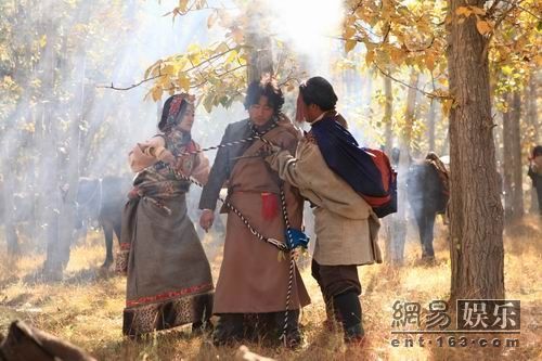 最新藏族电视剧全集盘点