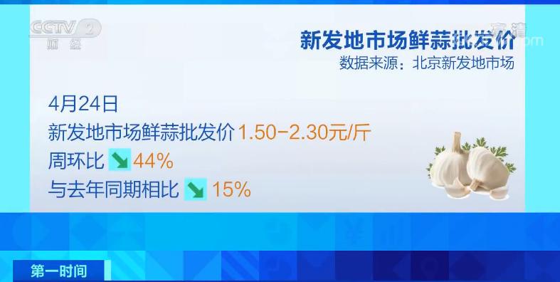 「新发地鲜蒜最新价格全解析，获取指南，初学者与进阶用户必备」