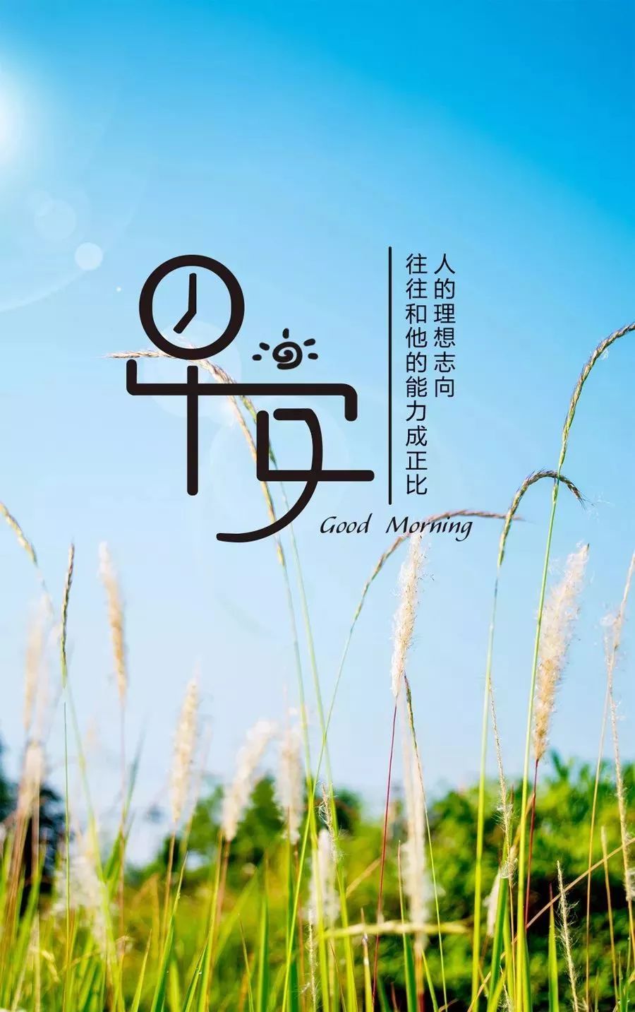 最新早安心语正能量，开启美好一天的积极力量