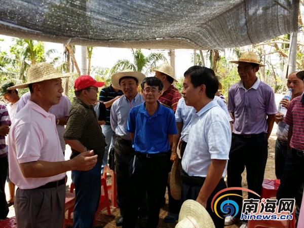 海南朱华友的最新动态，成就概览与未来展望