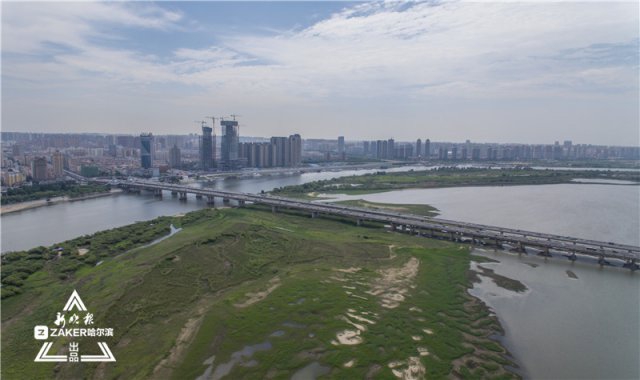 哈尔滨松花江最新水位深度观察与解析报告